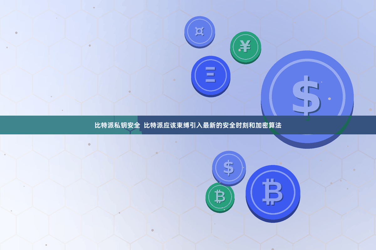 比特派私钥安全  比特派应该束缚引入最新的安全时刻和加密算法